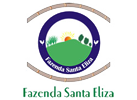 Santa Eliza