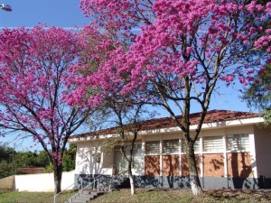 267762 253445638005106 4716011 n-44b4f5d217e4bb5d49c844b82dff1448