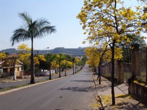 av-primavera-6fc25a4d8bde79bdf264505d8adf0918